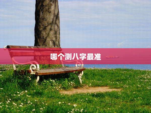 哪个测八字最准