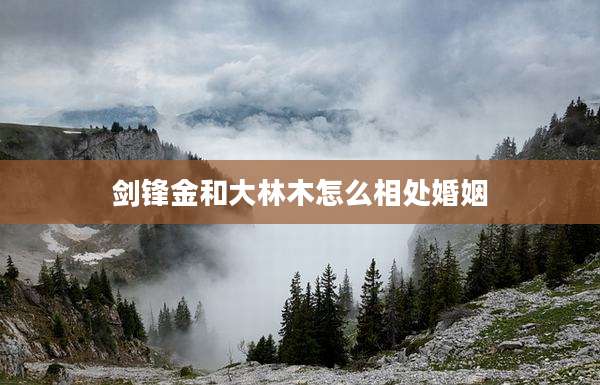 剑锋金和大林木怎么相处婚姻