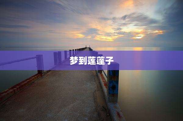梦到莲蓬子