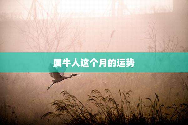 属牛人这个月的运势