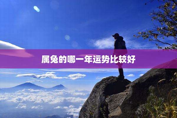 属兔的哪一年运势比较好