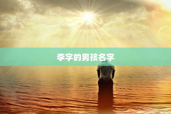 李字的男孩名字