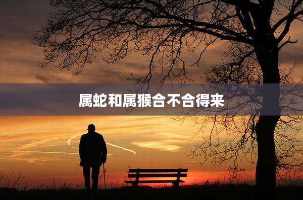 属蛇和属猴合不合得来