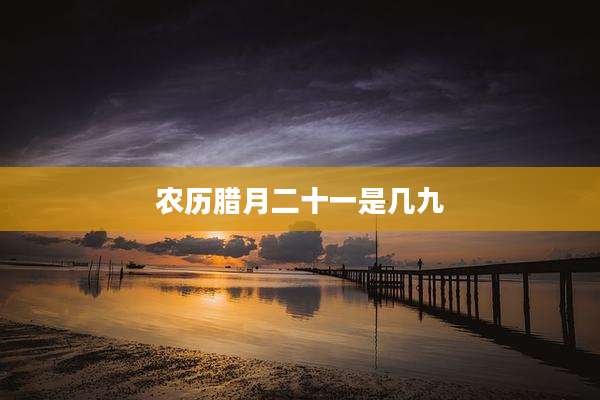 农历腊月二十一是几九