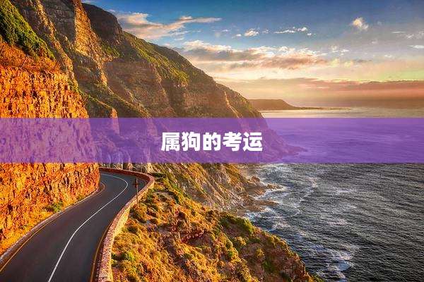 属狗的考运