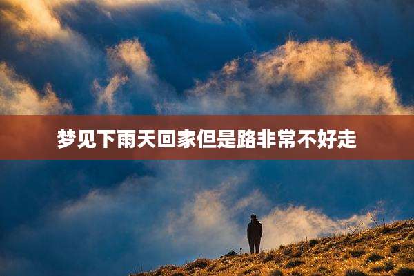 梦见下雨天回家但是路非常不好走