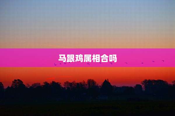 马跟鸡属相合吗