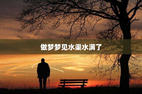 做梦梦见水渠水满了