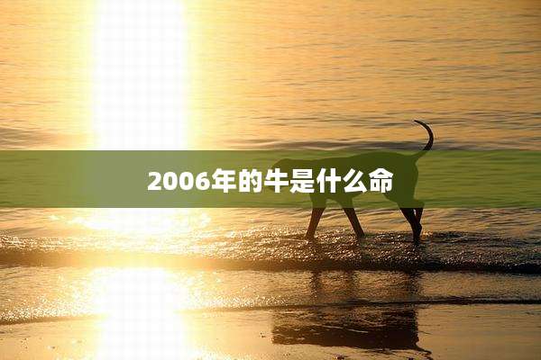 2006年的牛是什么命