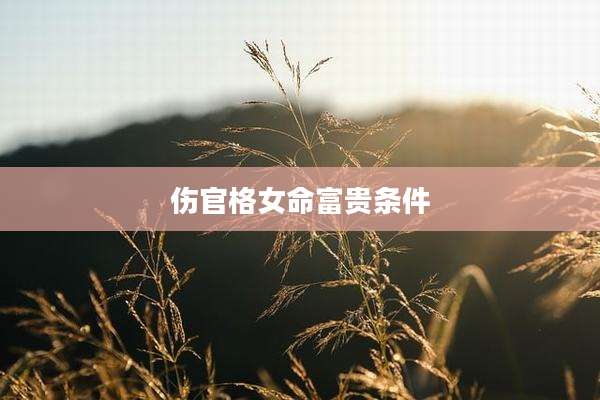 伤官格女命富贵条件