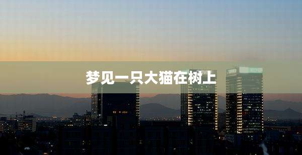 梦见一只大猫在树上