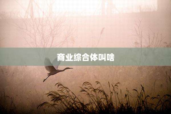 商业综合体叫啥