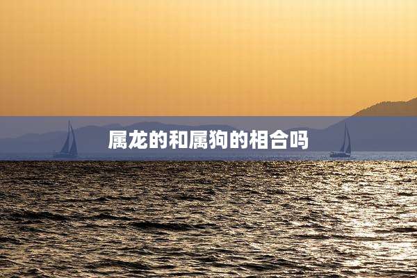 属龙的和属狗的相合吗