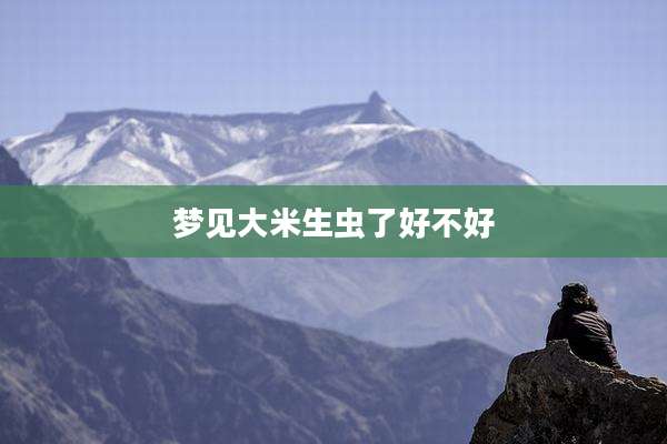 梦见大米生虫了好不好