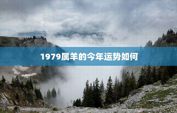 1979属羊的今年运势如何