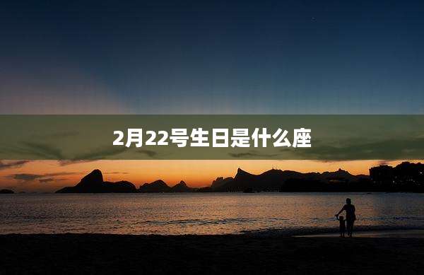 2月22号生日是什么座