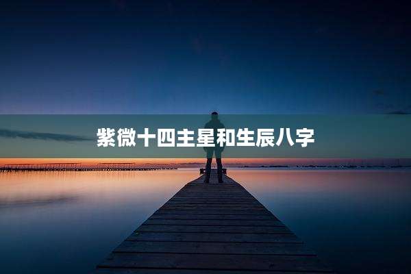 紫微十四主星和生辰八字