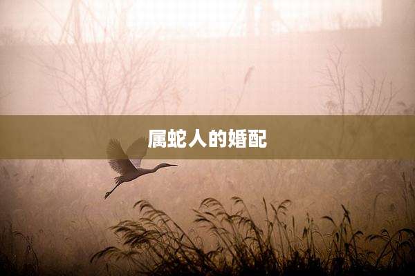 属蛇人的婚配