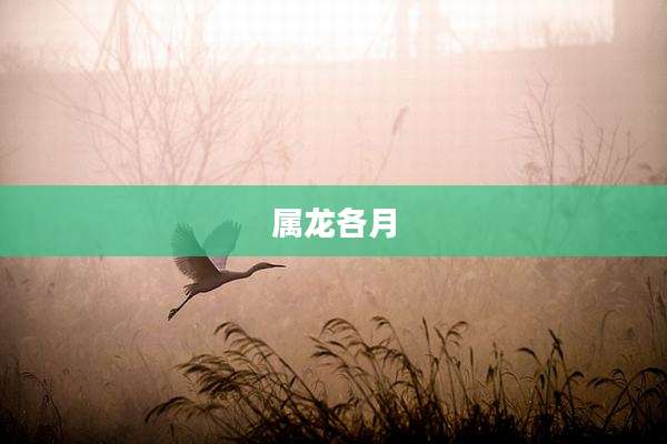 属龙各月