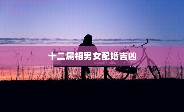 十二属相男女配婚吉凶