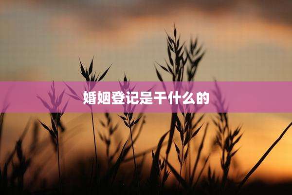 婚姻登记是干什么的