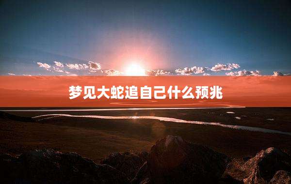 梦见大蛇追自己什么预兆