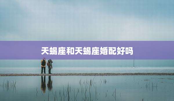 天蝎座和天蝎座婚配好吗