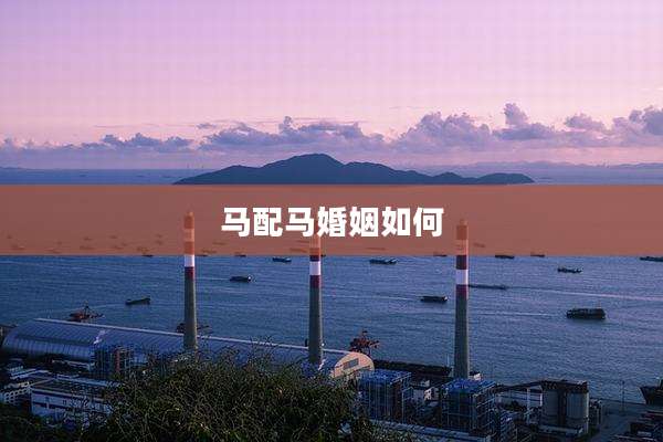 马配马婚姻如何