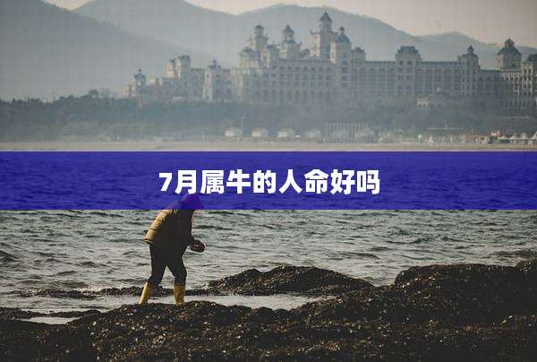 7月属牛的人命好吗