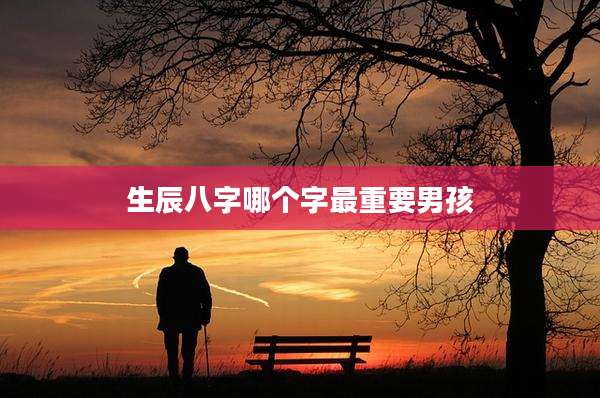 生辰八字哪个字最重要男孩