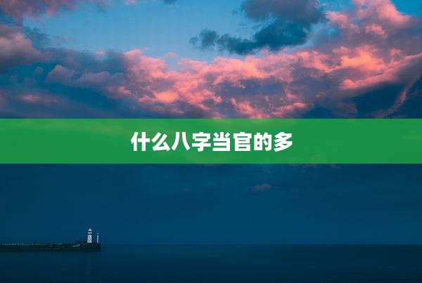 什么八字当官的多