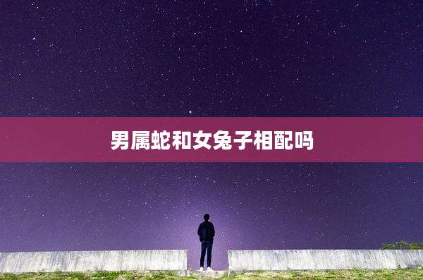男属蛇和女兔子相配吗