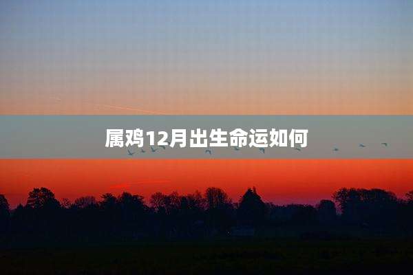 属鸡12月出生命运如何