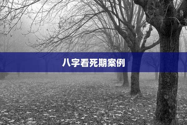 八字看死期案例