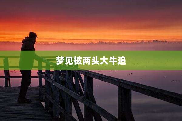 梦见被两头大牛追