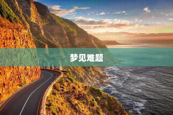 梦见难题