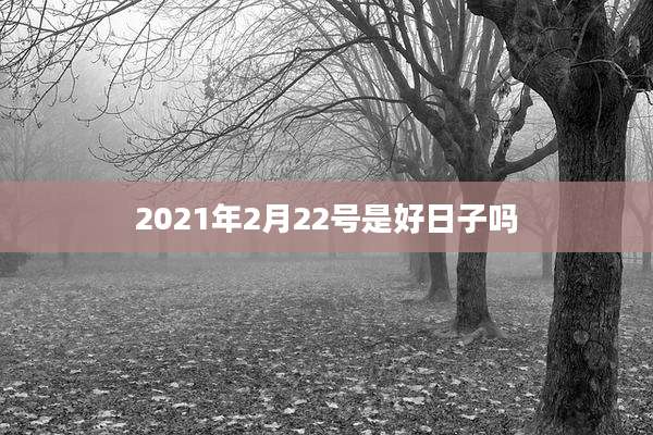 2021年2月22号是好日子吗