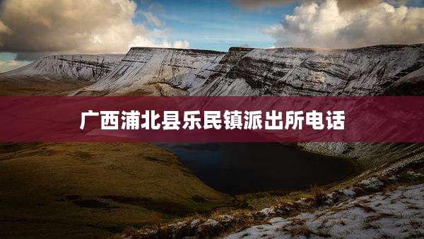 广西浦北县乐民镇派出所电话