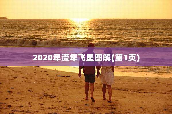 2020年流年飞星图解(第1页)