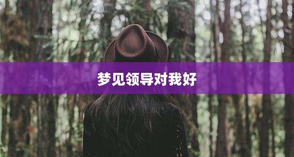 梦见领导对我好