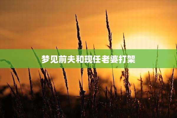 梦见前夫和现任老婆打架