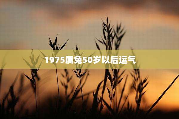 1975属兔50岁以后运气