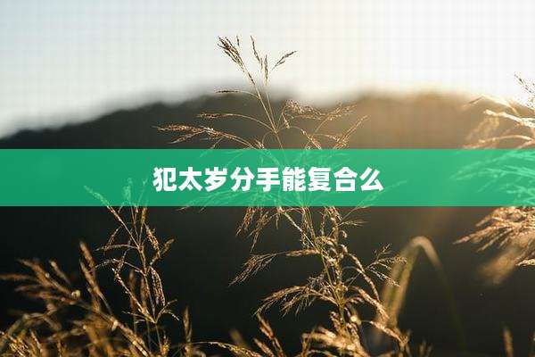 犯太岁分手能复合么