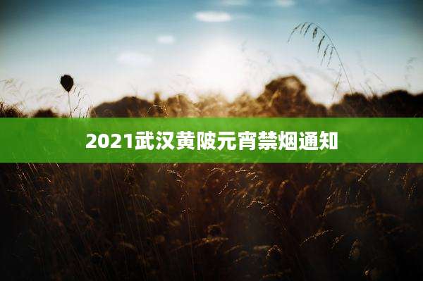 2021武汉黄陂元宵禁烟通知