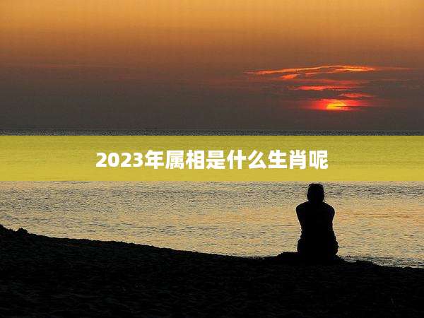 2023年属相是什么生肖呢