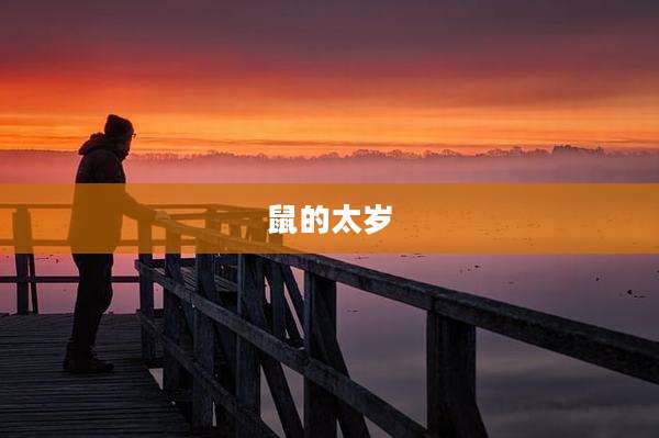 鼠的太岁