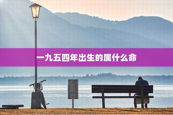 一九五四年出生的属什么命