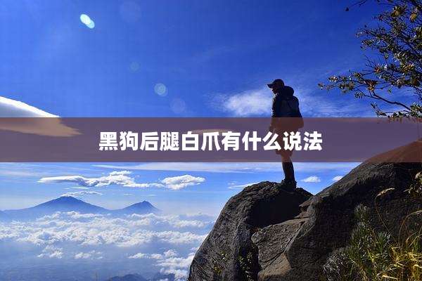 黑狗后腿白爪有什么说法