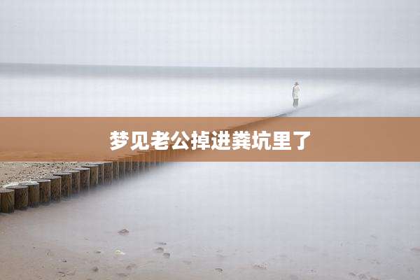 梦见老公掉进粪坑里了