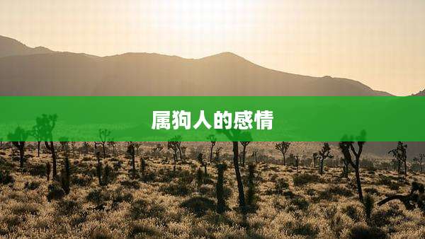 属狗人的感情